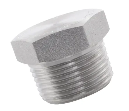 3/4 plug 316